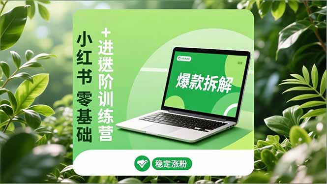 小红书零基础+高阶训练营：安全养号、爆款拆解、长效运营，实现稳定涨粉与变现-小目标云网创